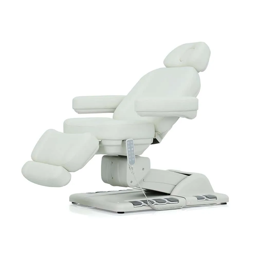 (M6002) Professional Spa Facial Chair Electric